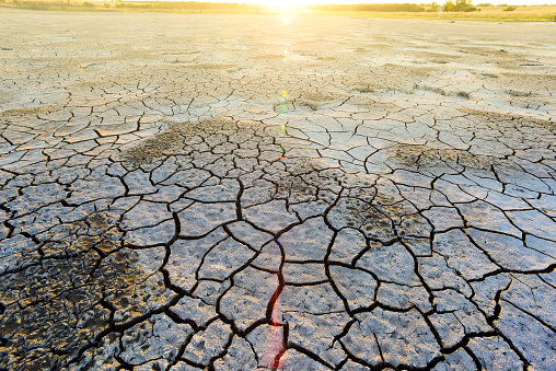 Broken dry soil in a Pampas lagoon, La Pampa province, Patagonia, Argentina.