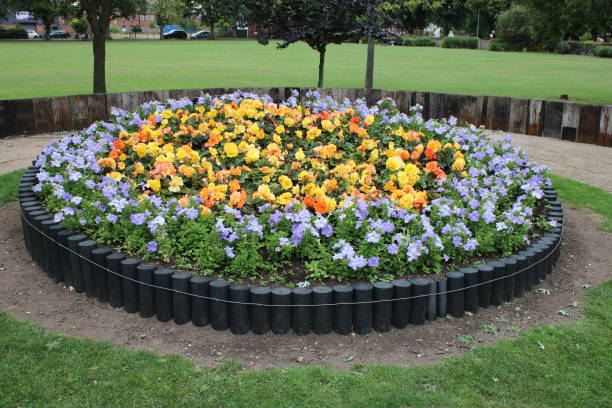 Large round flowerbed taken at a public park UK, green park in background