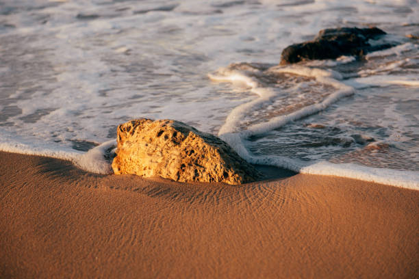 istock sea, waves, beach, sand and stone at sunset time. 1732106683