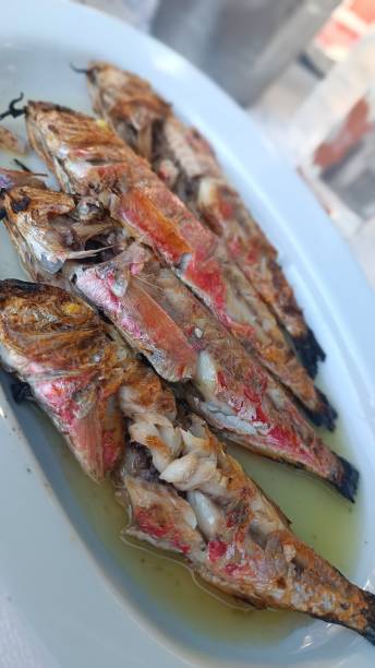 istock Grilled fish close-up red mullet 1732119080
