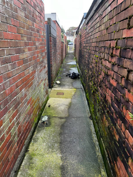 istock Typical UK narrow back alley 1732128842