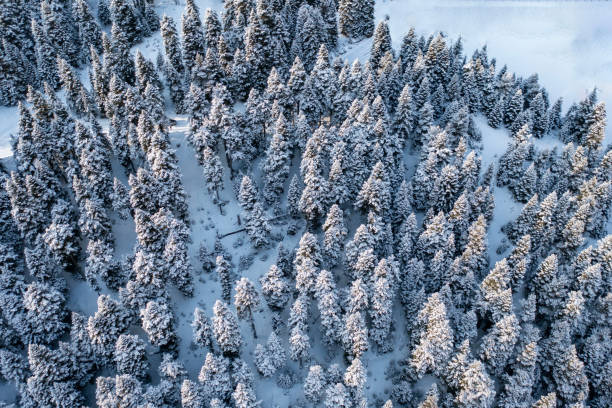 istock Aerial view of the snowy mountain 1732146829