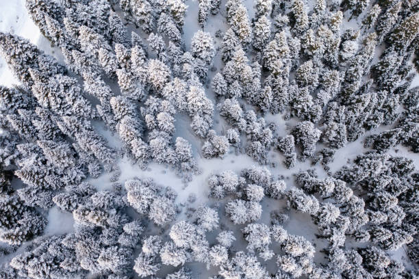 Clouds and mists drown the snow mountain