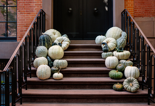 Colorful Pumpkins on the Stairs of an Old Brownstone Home near Soho, New York City