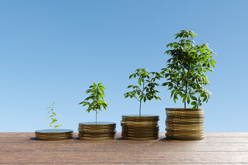 Saplings and old trees growing on golden coin stacks and higher the coin stack, larger the tree. Illustration of the concept of growth of wealth and investment