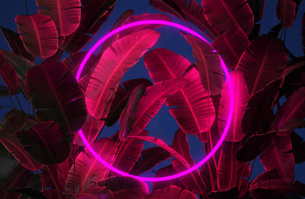 istock Glowing border with purple light in the night tropical forest. Mockup with tropical leaf background 1732190956