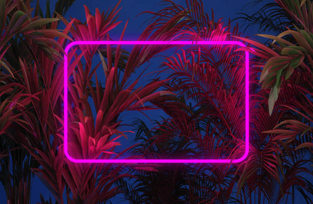 istock Glowing border with purple light in the night tropical forest. Mockup with tropical leaf background 1732191495