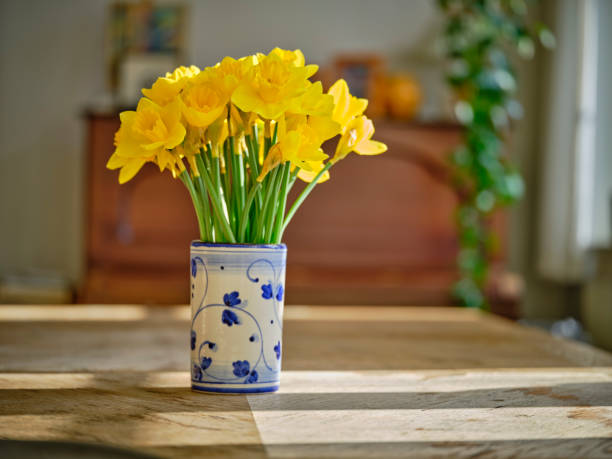 istock A bouquet of Daffodils 1732254874