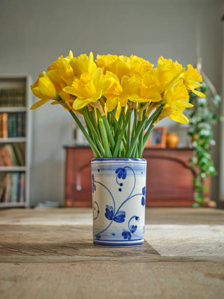 istock A bouquet of Daffodils 1732254876