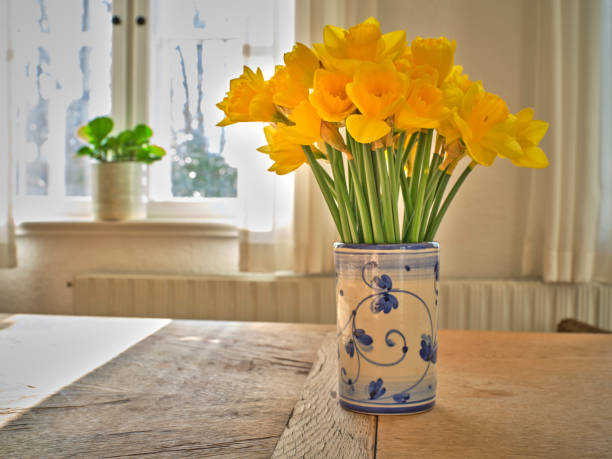 istock A bouquet of Daffodils 1732254877