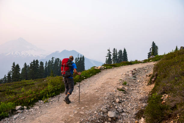 istock Solo man hiking through rugged terrain 1732265016