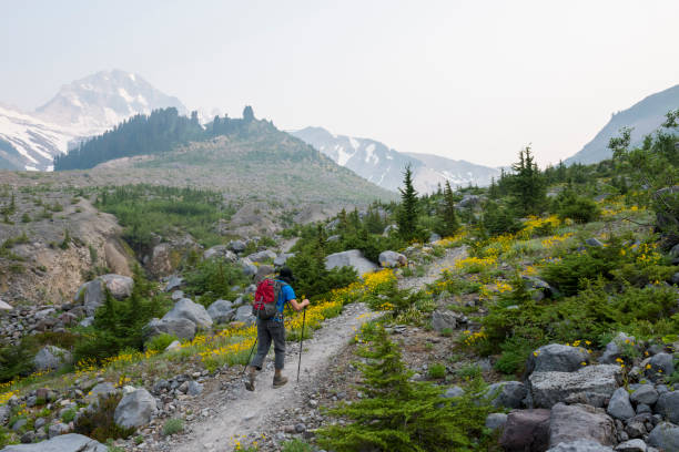 istock Man hiking in majestic nature 1732265396