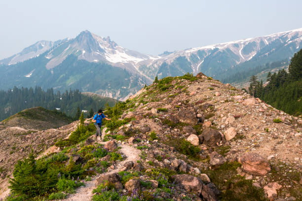 istock Solo man hiking through rugged terrain 1732265547