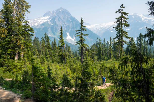 istock Man hiking in majestic nature 1732266091