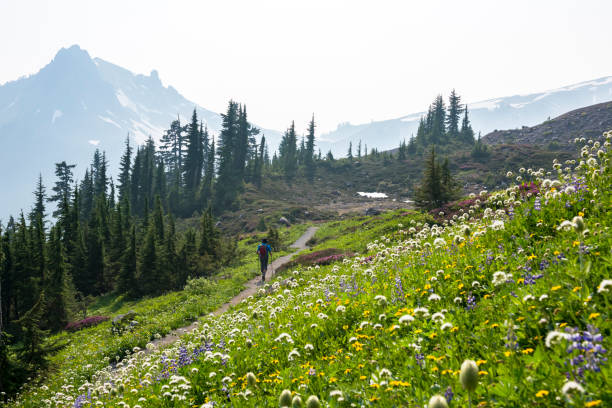 istock Hiking through fresh mountain wildflowers 1732266094