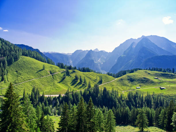 istock Bavarian alps landscape in summer 1732269386