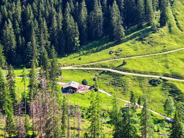 istock Bavarian alps landscape in summer 1732270452