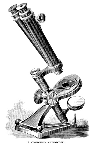 A Victorian compound microscope