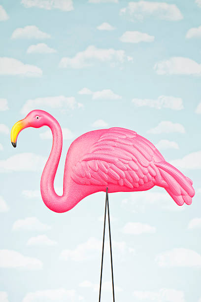 Female Pink Flamingo Against Sky Female pink flamingo against blue sky. An iconic symbol of summer. garden feature stock pictures, royalty-free photos & images