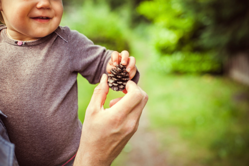 A fathers hand reaches up to show his smiling daughter a fallen pine cone in a lush green outdoor setting.  Horizontal with copy space.