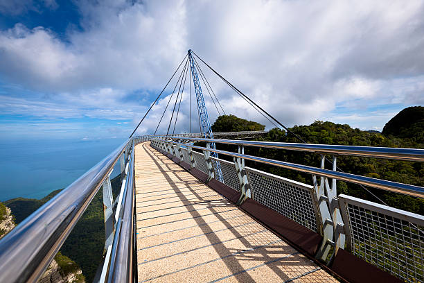 スカイブリッジの素晴らしい眺望 - tropical rainforest elevated walkway pulau langkawi malaysia ストックフォトと画像
