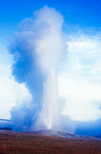 Old Faithful geyser spouting steam in the air.\n\nTaken in Yellowstone, National Park, Wyoming USA