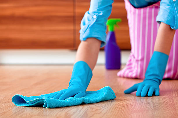istock Woman Wiping Floor with Rag 173233124