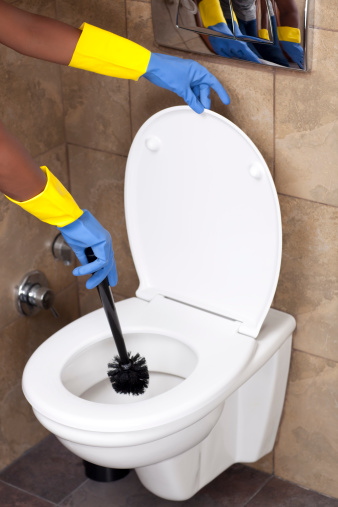 Woman cleaning the toilet.