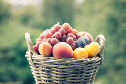 Fruit, apricot, peaches, plum, grape and apples in a basket, outdoors in the gardwn