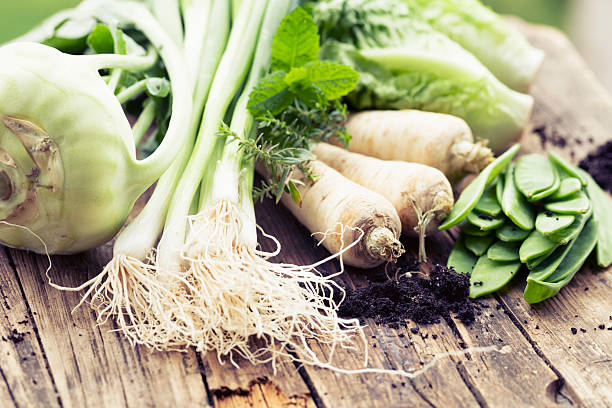 istock vegetable harvest freshness from garden 173234691