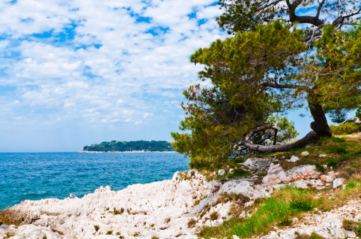 Seascape, seashore, beautiful surroundings of Poreč, Istria, Croatia.