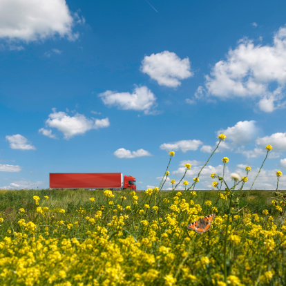 Red truck in Dutch landscape. Yellow flowers with butterfly in foreground. Focus is on the truck.