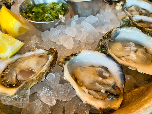 istock Fresh delicious oysters with lemon 1732379096