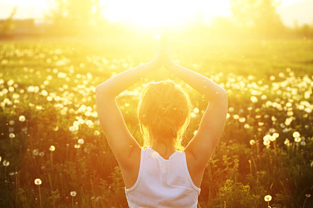 istock Greeting to the Sun 173239563