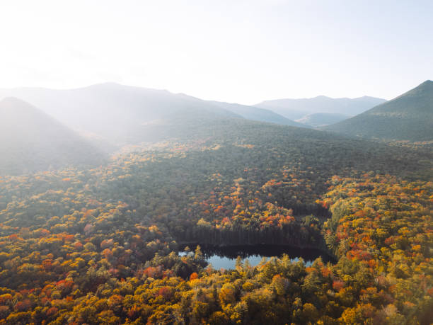 szlak lincoln woods w parku stanowym frankonii notch w new hampshire jesienią dron - franconia zdjęcia i obrazy z banku zdjęć