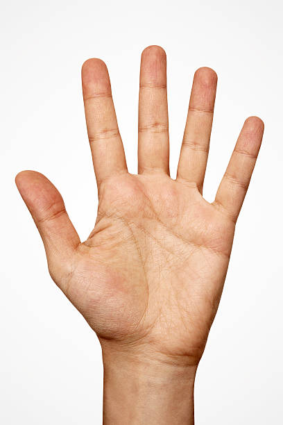 Hand With Clipping Path Hand with clipping path. i 5 stock pictures, royalty-free photos & images