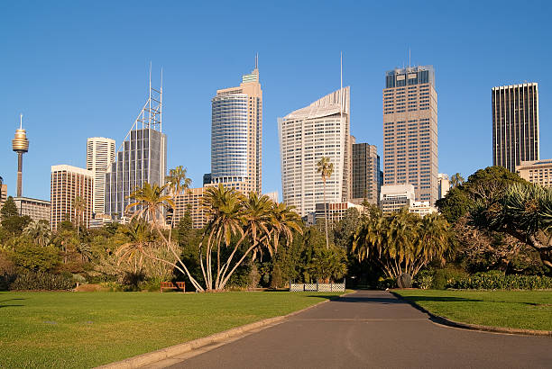 istock Sydney CBD - Corporate Jungle 173240788