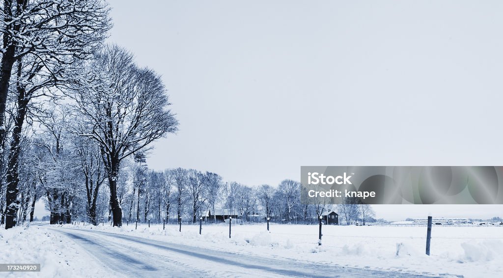 Strada di campagna in inverno - Foto stock royalty-free di Albero