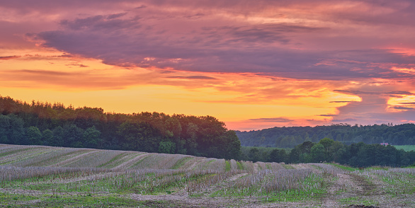 Germany, Stuttgart, Magical orange sunset sky above ripe grain field nature landscape in summer