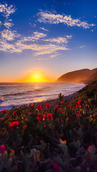 A vibrant orange glow lights up the sky, cutting through the sea mist as the sun approaches the horizon of the Pacific Ocean. Wild red flowers are illuminated by the sun in the foreground. The view is from the Pacifc Coast Highway near Point Mugu and Malibu, California.