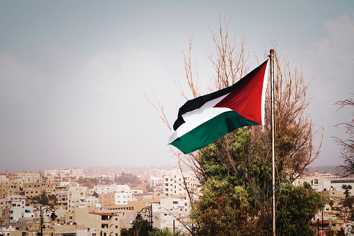 the flag of Palestine on the mountain on the background of the houses in the city. Middle Eastern architecture.