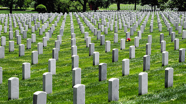 tombstones und blume am nationalfriedhof arlington, virginia, usa - arlington national cemetery arlington virginia cemetery national landmark stock-fotos und bilder