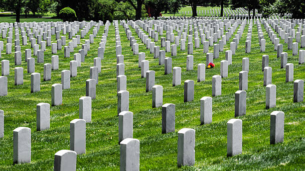 Tombstones and Flower at Arlington National Cemetery, Virginia, USA Tombstones and flower at Arlington National Cemetery, Virginia, USA. national cemetery stock pictures, royalty-free photos & images