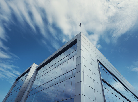 A wide angle view looking up at an office building under blue skies.  Seagull flies past the corner of the building.