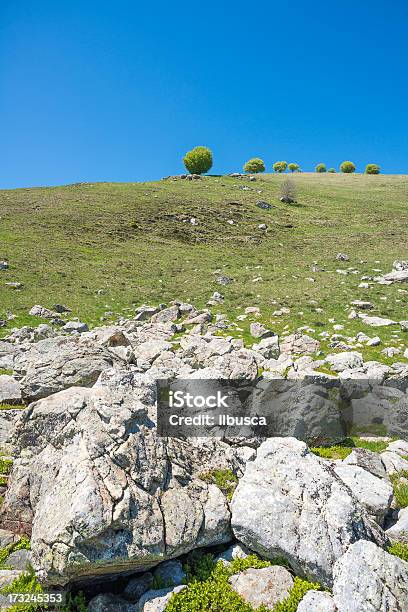 Hill Paesaggio Di Montagna Alpi Italiane - Fotografie stock e altre immagini di Albero - Albero, Alpi, Ambientazione esterna