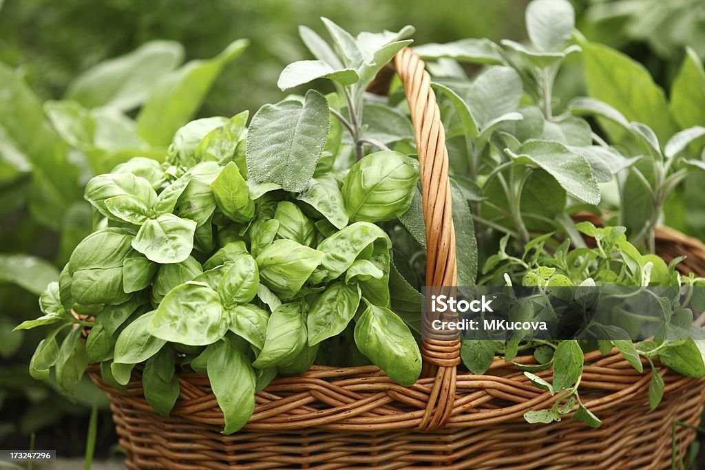 Cestos com plantas aromáticas - Royalty-free Ao Ar Livre Foto de stock