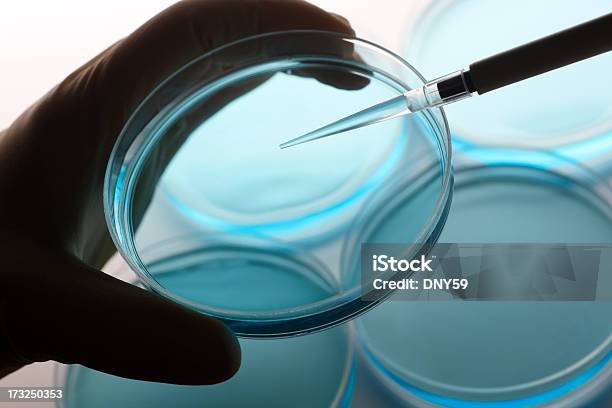 Foto de Investigação Científica e mais fotos de stock de Disco de Petri - Disco de Petri, Pipeta, Biotecnologia