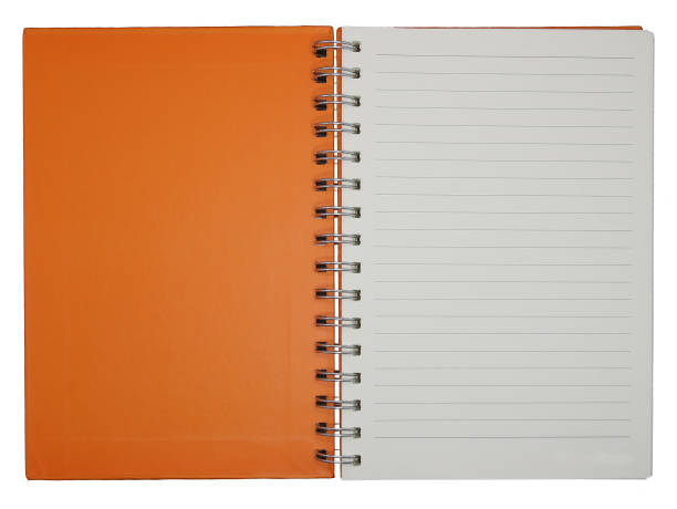 Blank notebook paper with ring spine isolated on white background