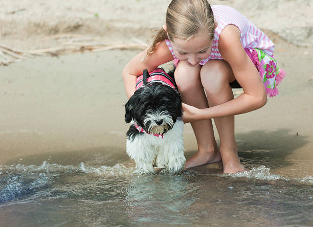 dziewczynka z pieskiem na plaży przez jezioro hz - swimming animal beach casual loving zdjęcia i obrazy z banku zdjęć