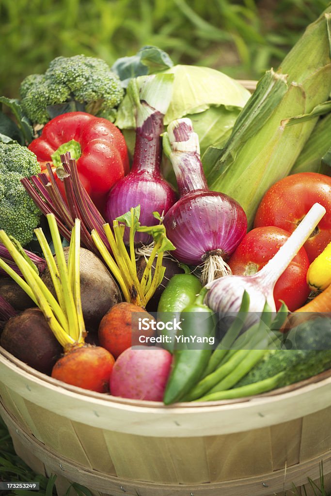 Recém-colhidas variedade de produtos frescos e legumes em cesta - Foto de stock de Abobrinha royalty-free